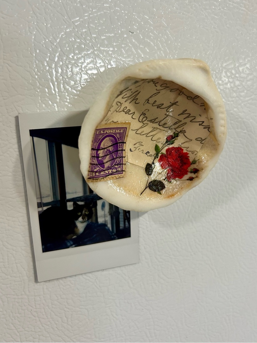 Vintage Shell Magnet